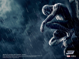 1179155934_1024x768_spider-man-in-rain-wallpaper